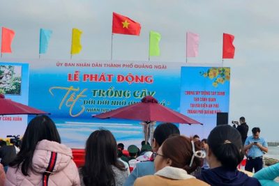 PHONG TRÀO TẾT TRỒNG CÂY
